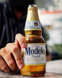 MODELO